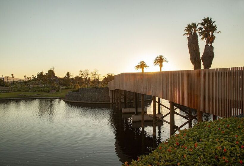 Bridgewater Apartments