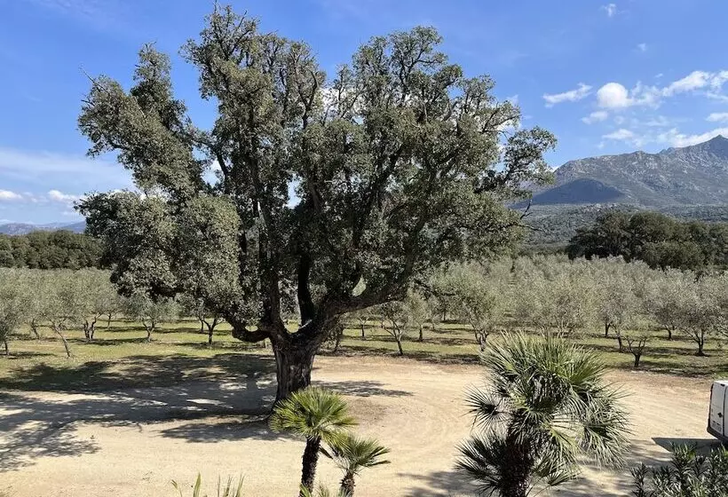 Hotelli Domaine Du Reginu