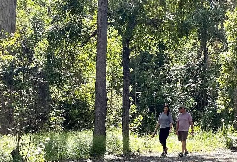 ホテル Ferns Hideaway Resort