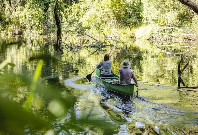 ホテル Ferns Hideaway Resort