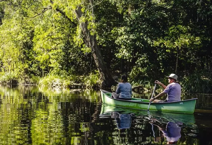 ホテル Ferns Hideaway Resort