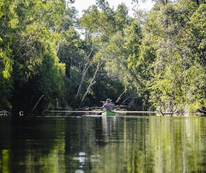 בית מלון כפרי Ferns Hideaway Resort