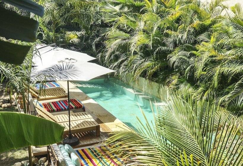 בית מלון כפרי Gallo De Mar