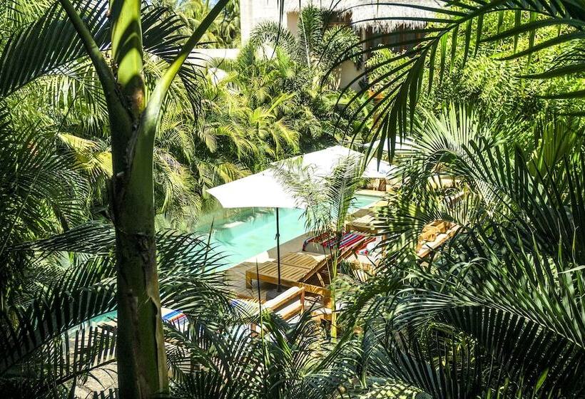 בית מלון כפרי Gallo De Mar