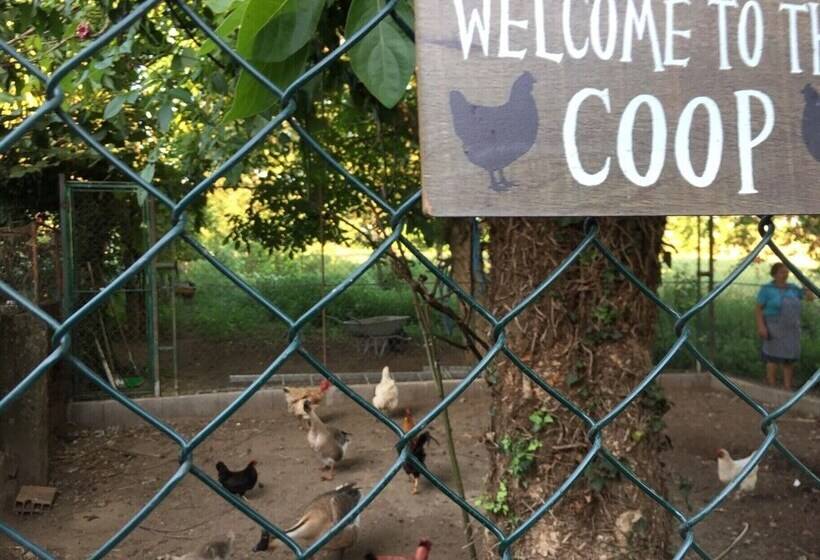 Lovely 6 Bed Cottage In Braga Enjoy And Relax