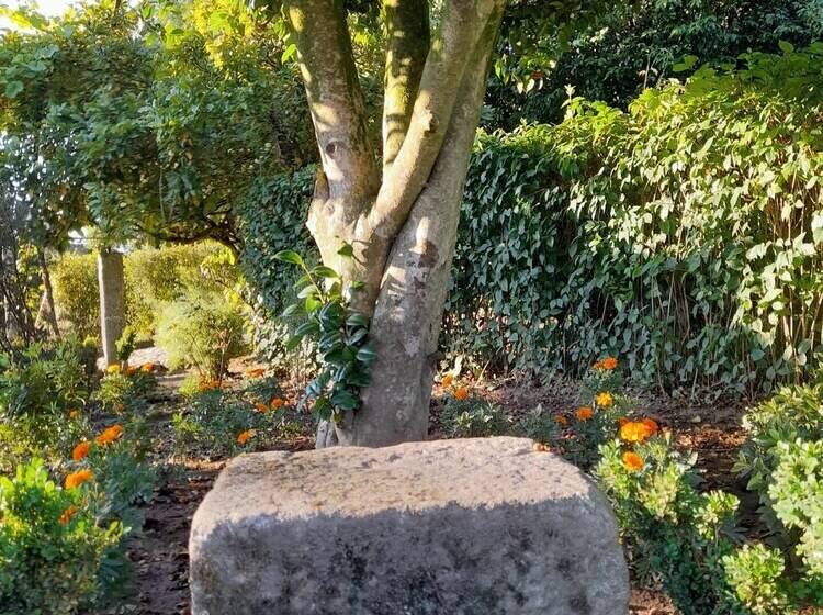 Lovely 6 Bed Cottage In Braga Enjoy And Relax