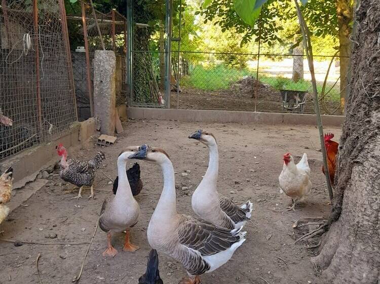 Lovely 6 Bed Cottage In Braga Enjoy And Relax