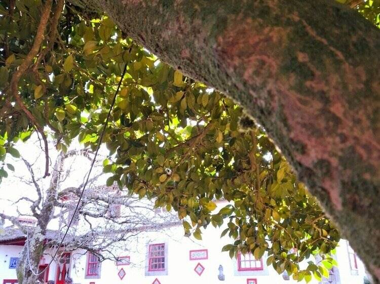 Lovely 6 Bed Cottage In Braga Enjoy And Relax