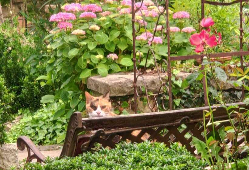 پانسیون Villa Albertine