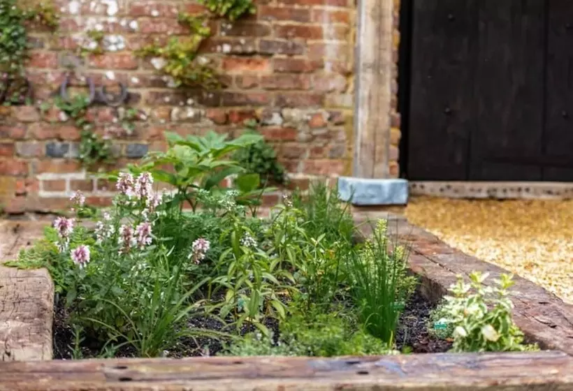 Residenssi Perfect To Spend Time With Family And Friends