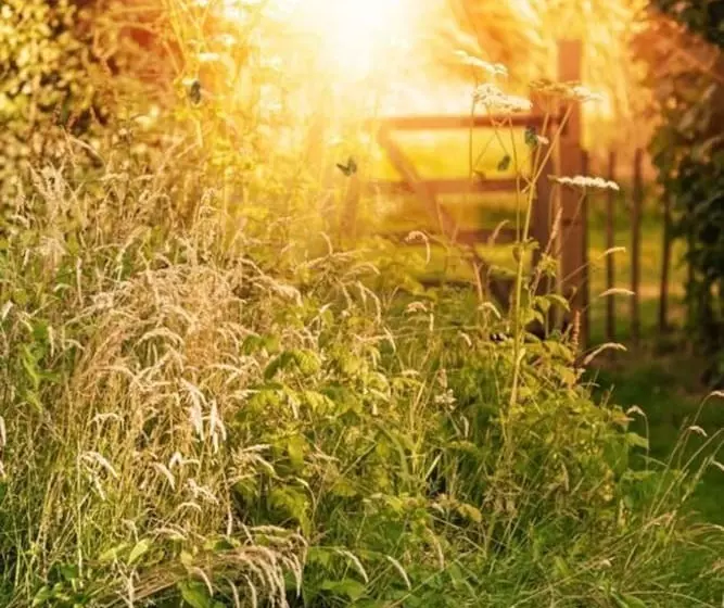 Residenssi Perfect To Spend Time With Family And Friends