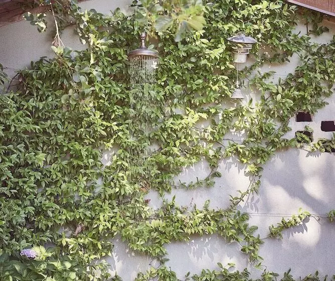 Aqvae Unconventional Country House