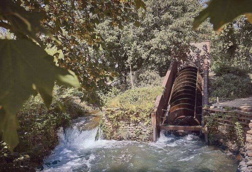 Aqvae Unconventional Country House