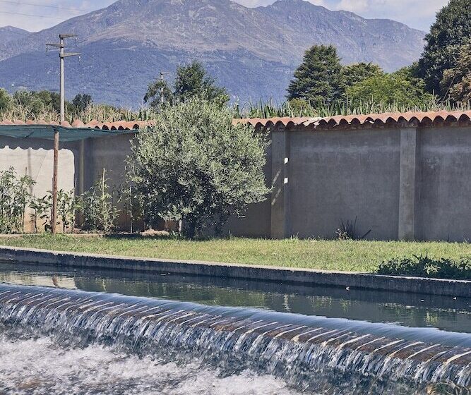 Aqvae Unconventional Country House