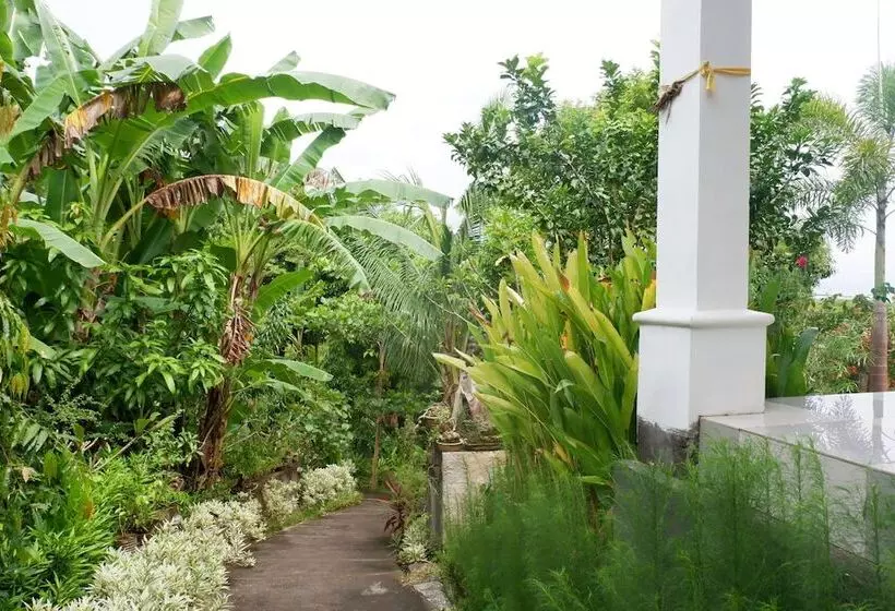 ホテル Arya Resort Nusa Penida