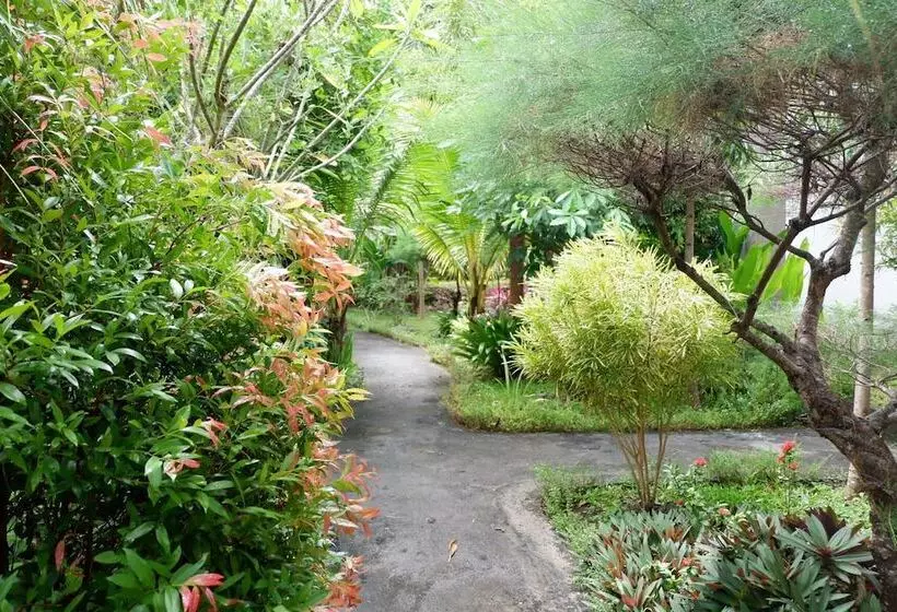 ホテル Arya Resort Nusa Penida