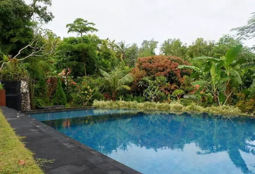 ホテル Arya Resort Nusa Penida