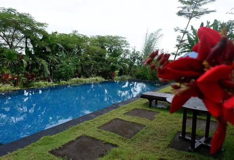 ホテル Arya Resort Nusa Penida