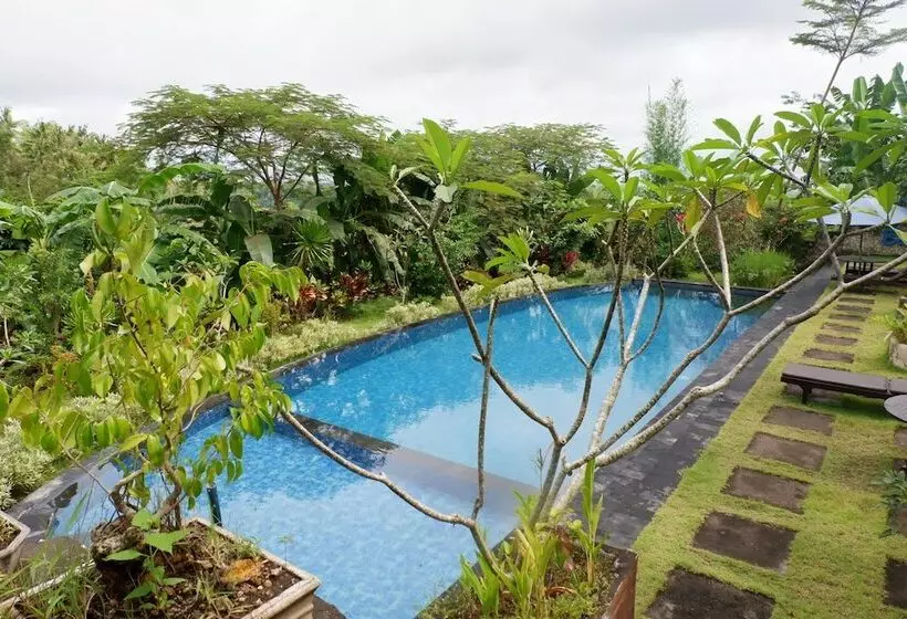 ホテル Arya Resort Nusa Penida