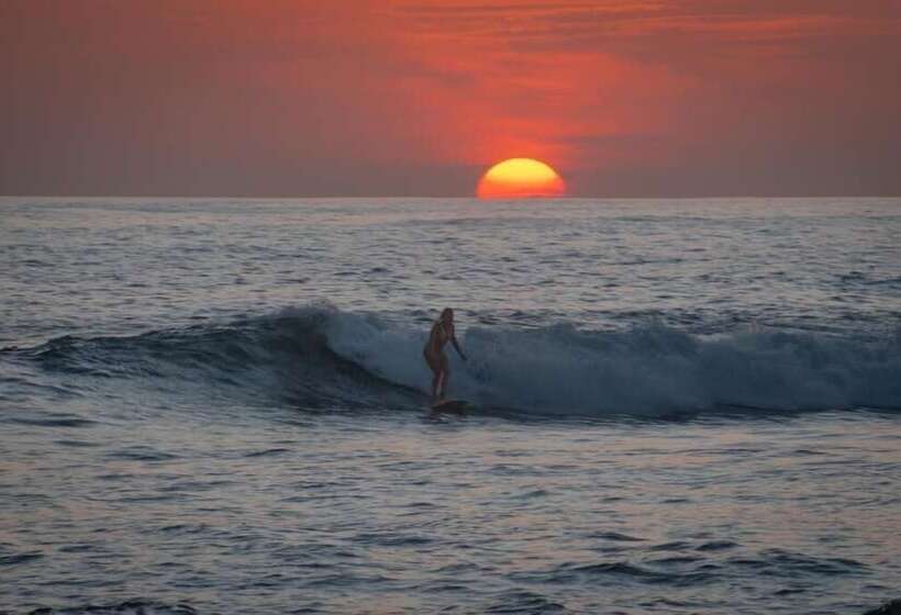 ホテル The Breezy Inn