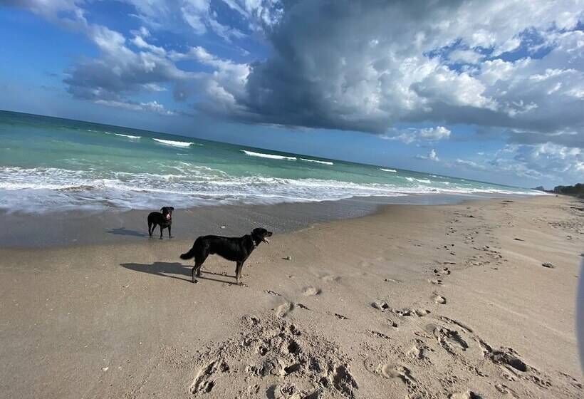 ホテル The Breezy Inn