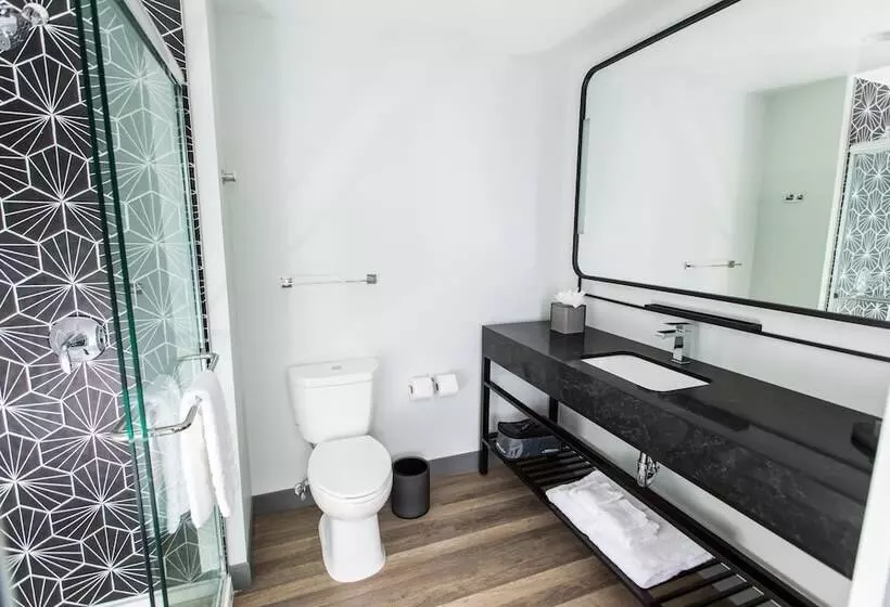 هتل Voco The Darwin Atlanta Midtown By Ihg