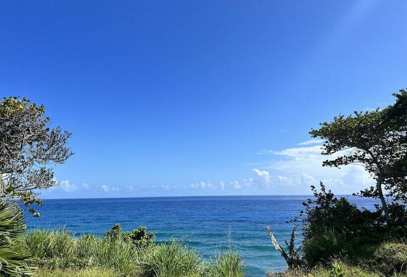 Jamaica Colors Eco Retreat Hotel And Spa