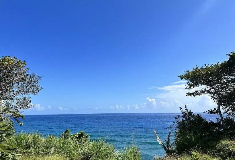 Jamaica Colors Eco Retreat Hotel And Spa