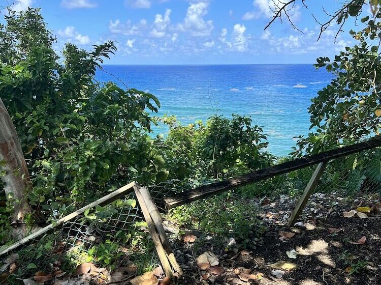 Jamaica Colors Eco Retreat Hotel And Spa