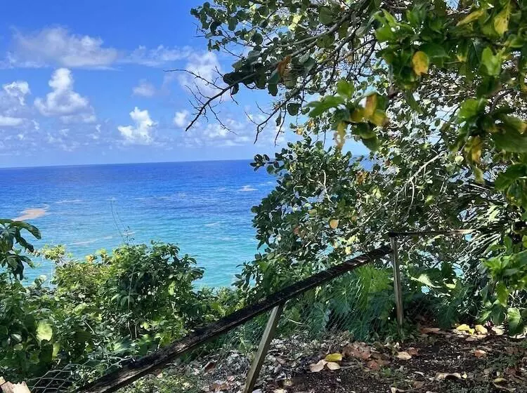 Jamaica Colors Eco Retreat Hotel And Spa