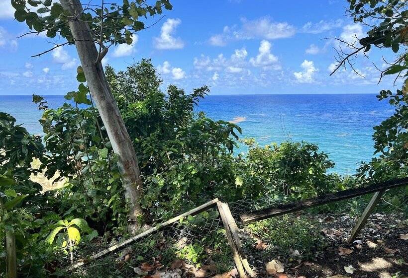 Jamaica Colors Eco Retreat Hotel And Spa