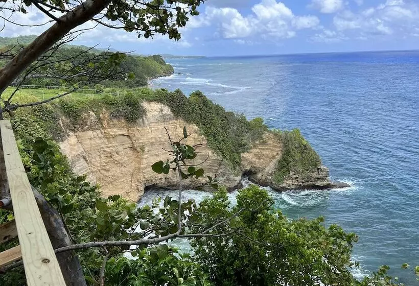 Jamaica Colors Eco Retreat Hotel And Spa