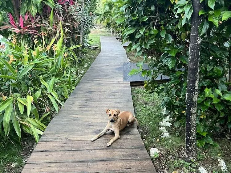 Jamaica Colors Eco Retreat Hotel And Spa