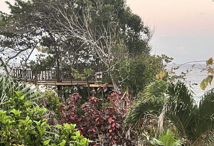 Jamaica Colors Eco Retreat Hotel And Spa