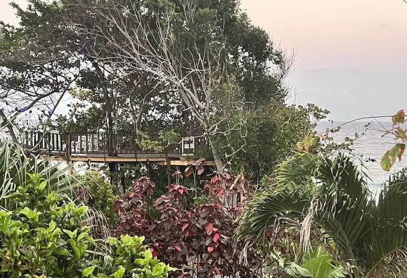 Jamaica Colors Eco Retreat Hotel And Spa