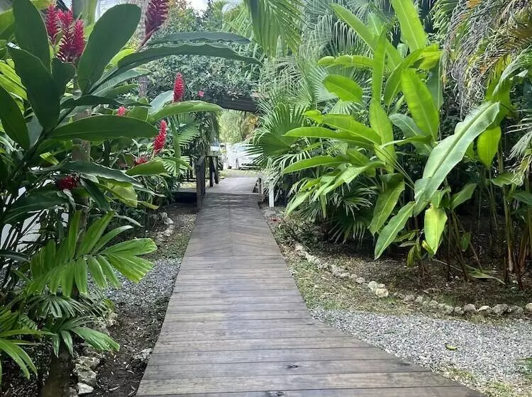 Jamaica Colors Eco Retreat Hotel And Spa