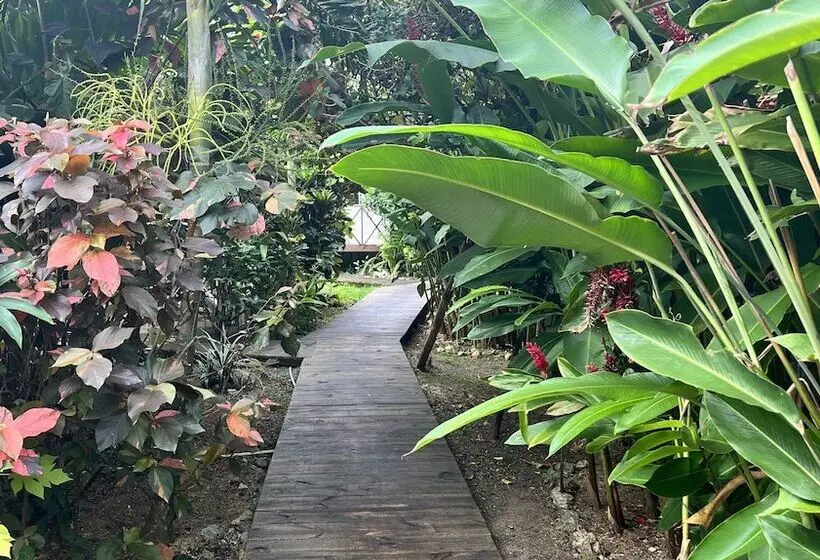 Jamaica Colors Eco Retreat Hotel And Spa