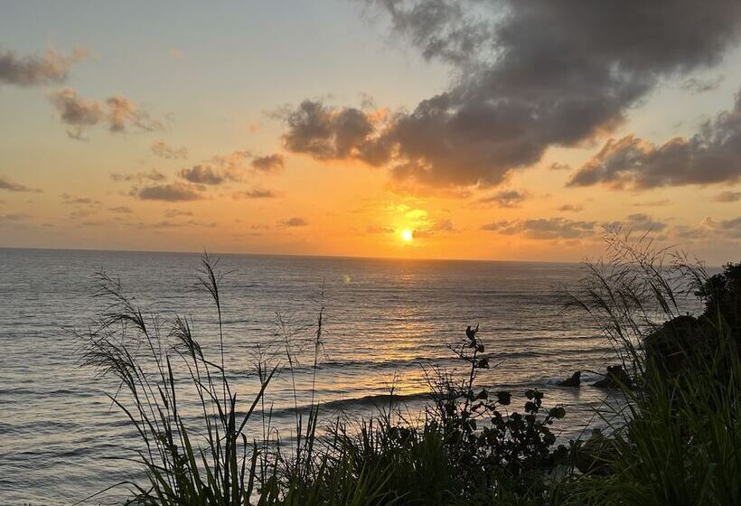 Jamaica Colors Eco Retreat Hotel And Spa