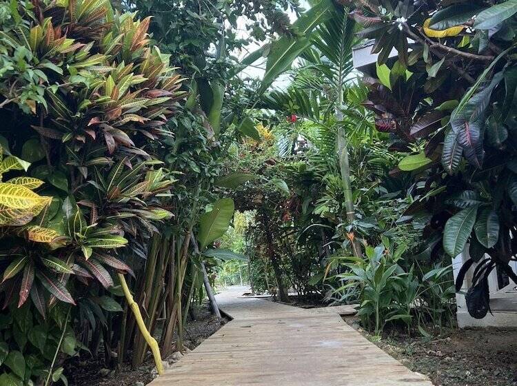 Jamaica Colors Eco Retreat Hotel And Spa