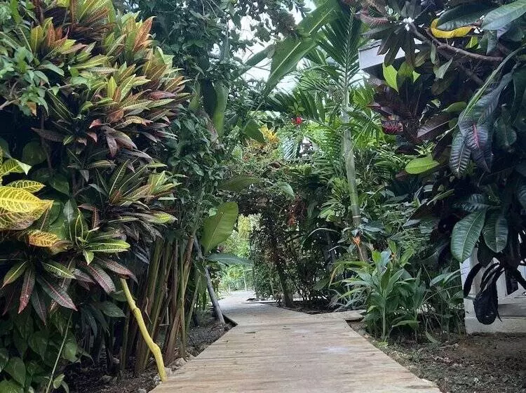 Jamaica Colors Eco Retreat Hotel And Spa