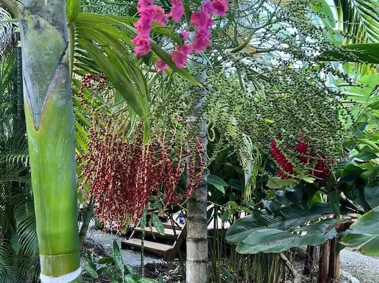 Jamaica Colors Eco Retreat Hotel And Spa