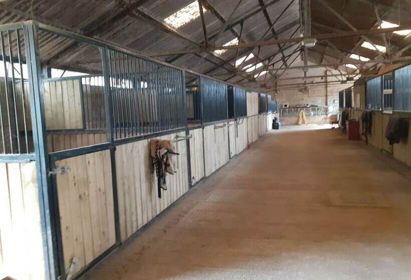 펜션 Glamping At The Retreat Wiltshire Is Rural Bliss