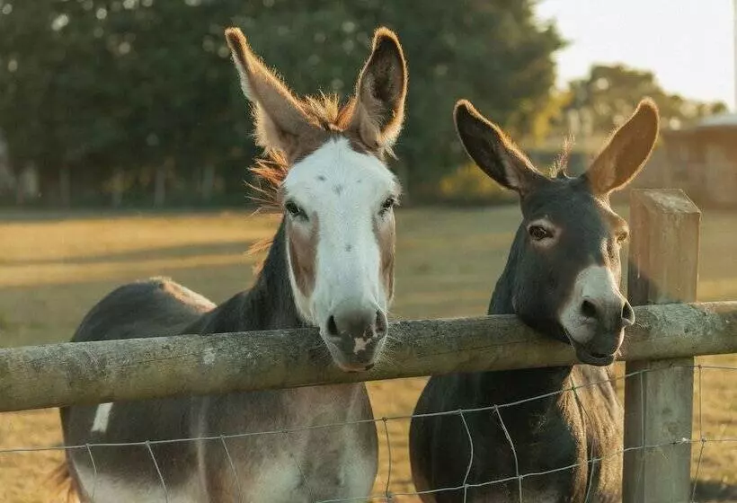 Majatalo Glamping At The Retreat Wiltshire Is Rural Bliss