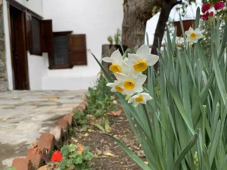 Majatalo şi̇ri̇nce Bahçe