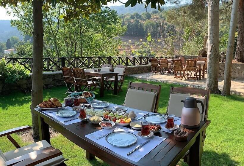 פנסיון şi̇ri̇nce Bahçe