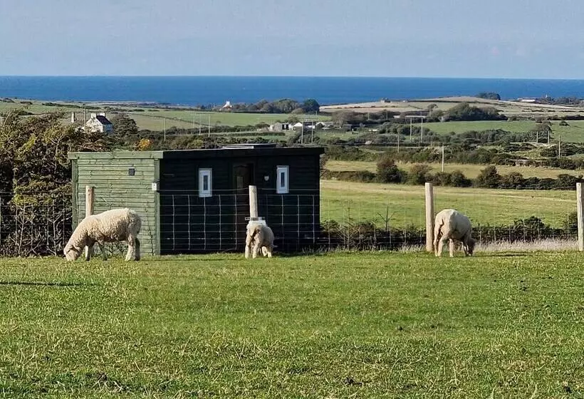Stunning 1 Bed Shepherd Hut