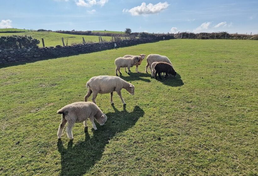 Stunning 1 Bed Shepherd Hut