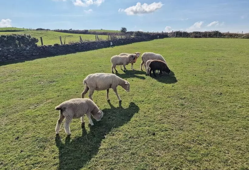 Stunning 1 Bed Shepherd Hut