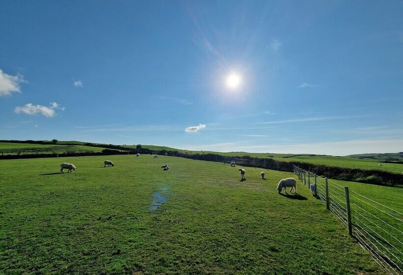 Stunning 1 Bed Shepherd Hut