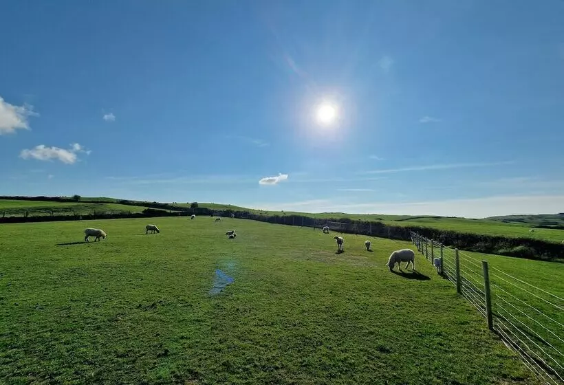 Stunning 1 Bed Shepherd Hut